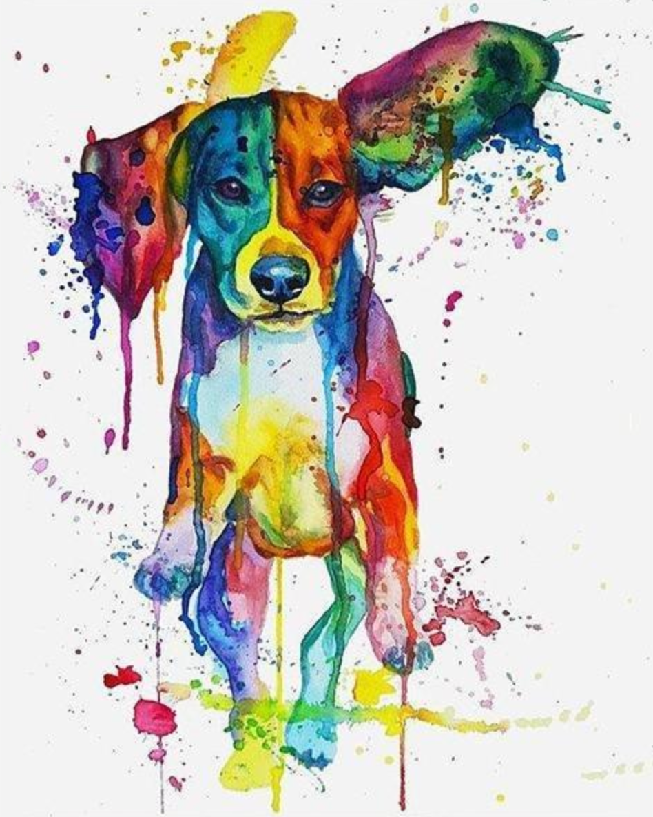 Colori del Beagle