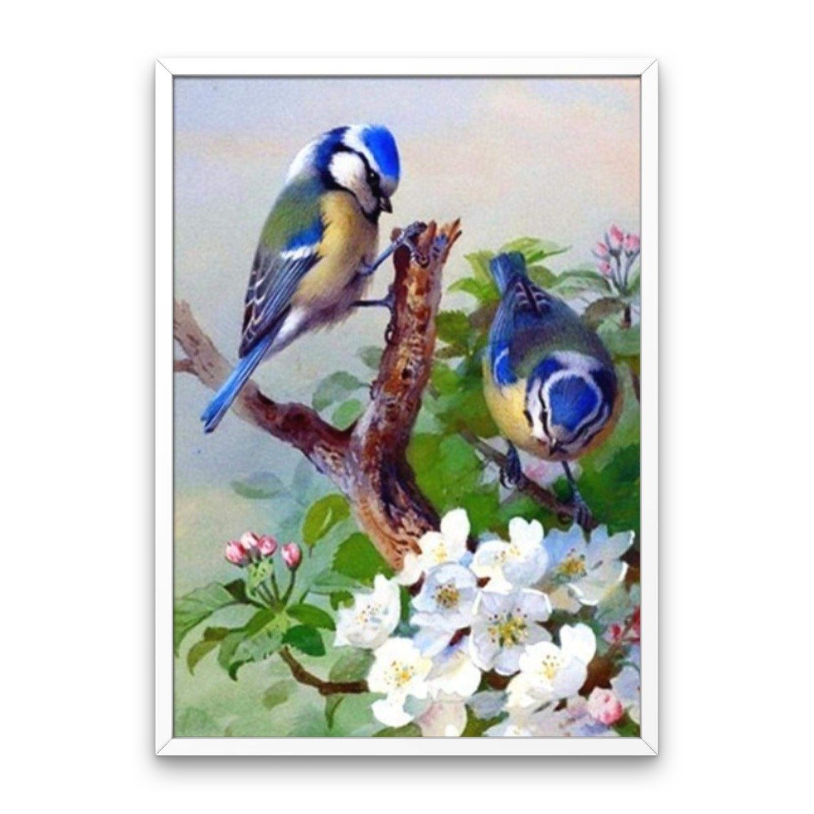 Uccelli blu
