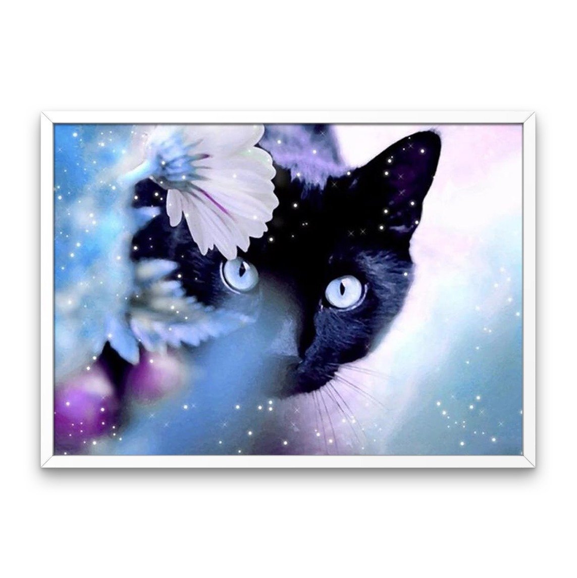 Gatto Nero