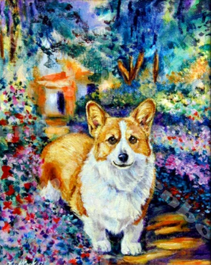 Cane corgi