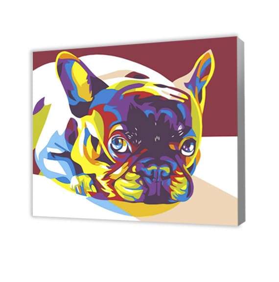 Cane Colorato Rilassante