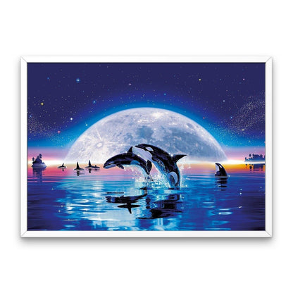 Cielo notturno e delfini