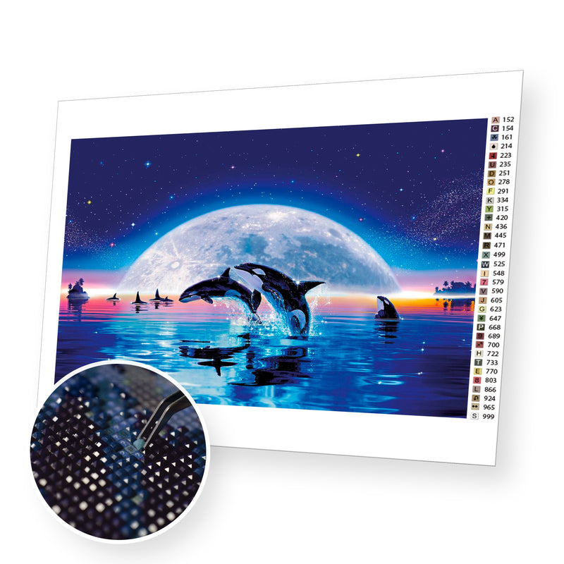 Night Sky and Dolphins premium diamond painting kit for adults