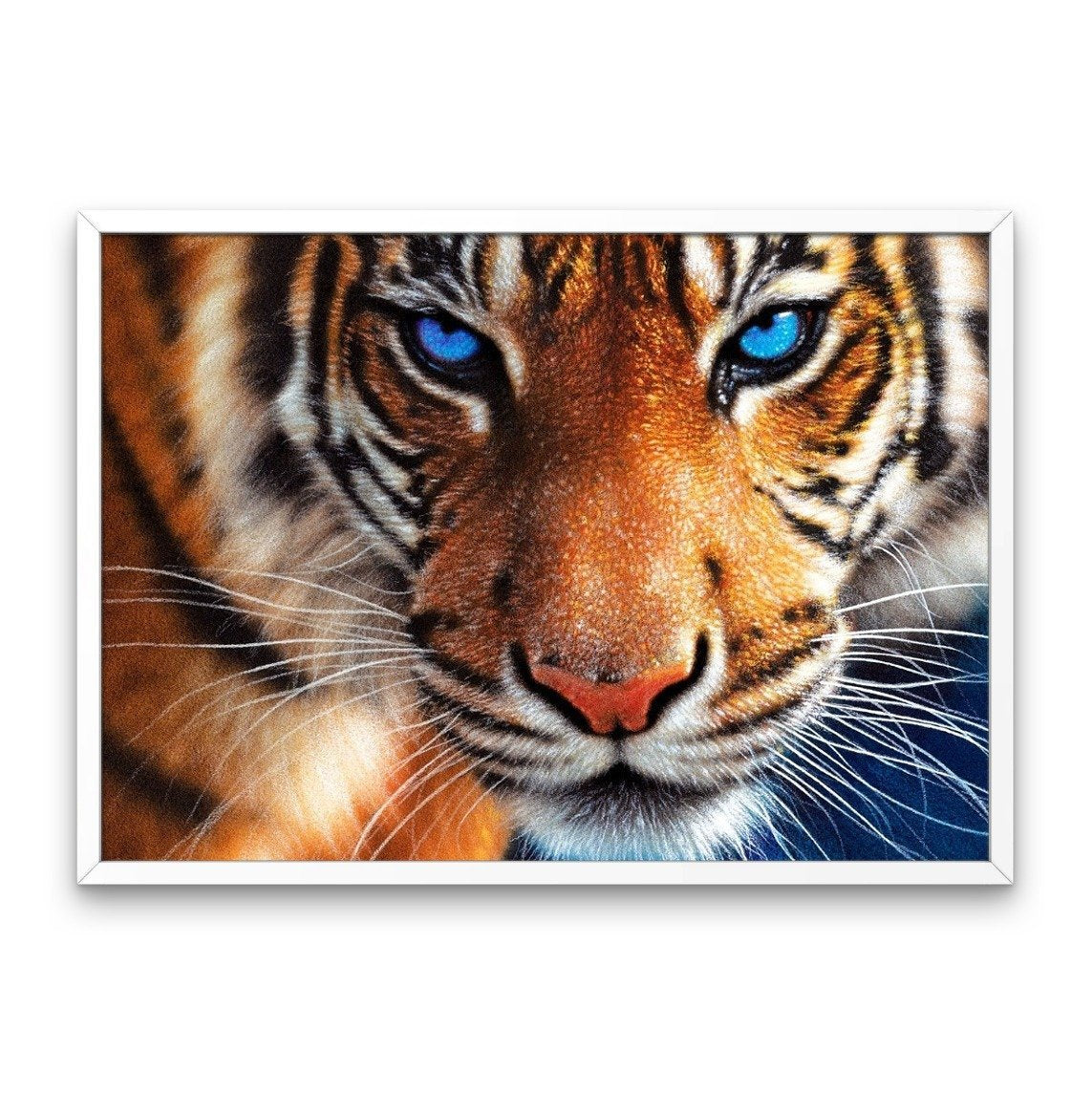 Tigre close-up