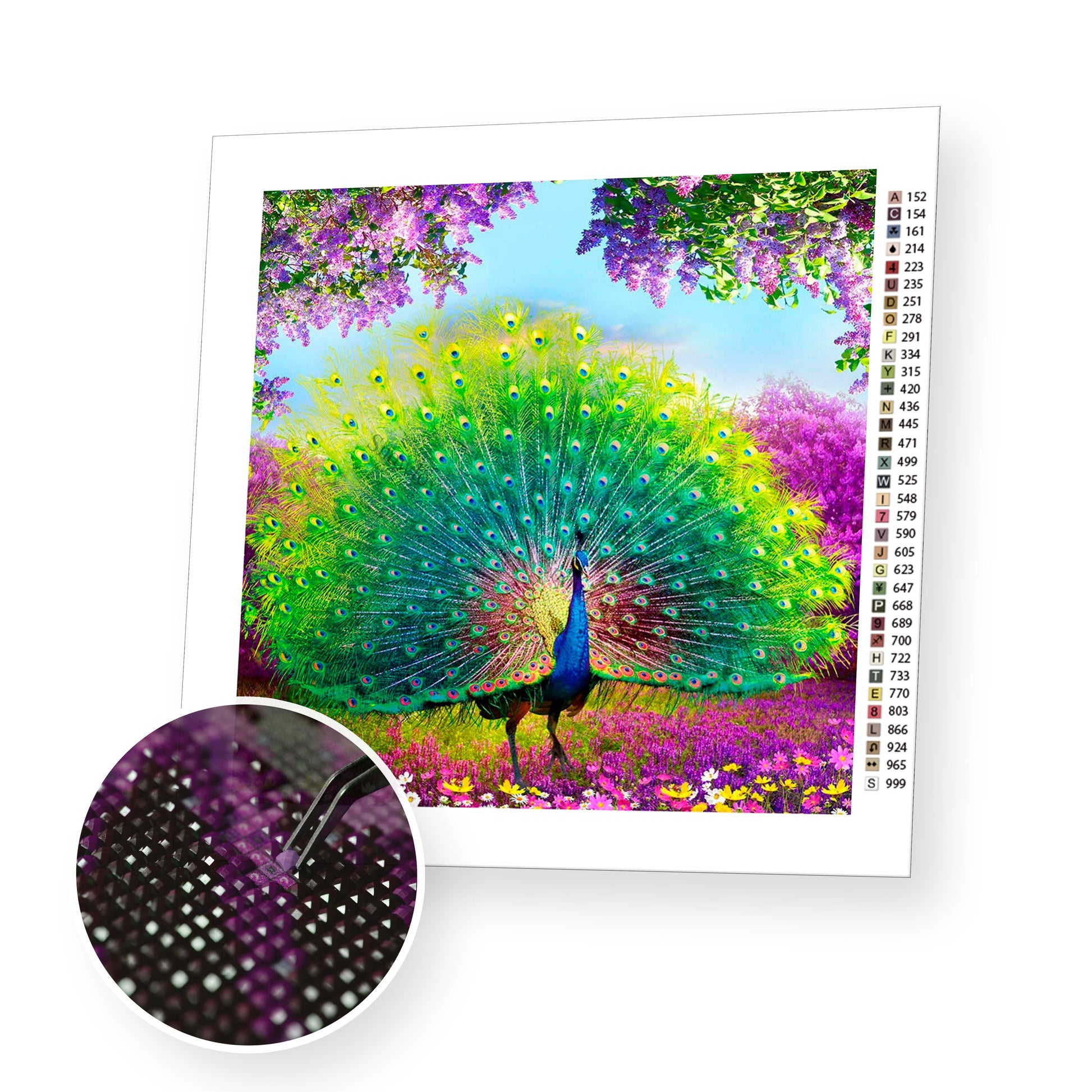 Wealth by Peacock - Diamond Painting Kit - [Diamond Painting Kit]